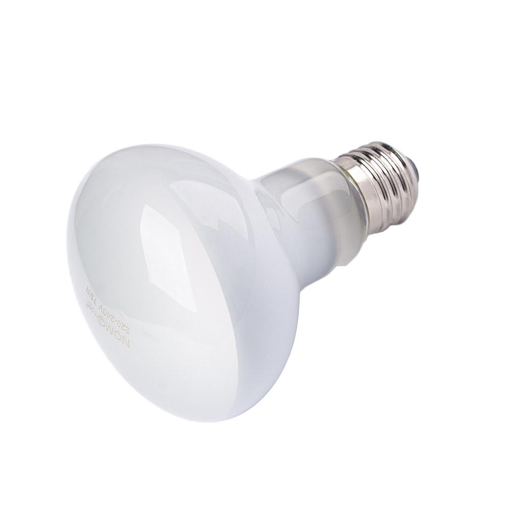 Basking Bulb Halogen - Controlador de Temperatura para Répteis com