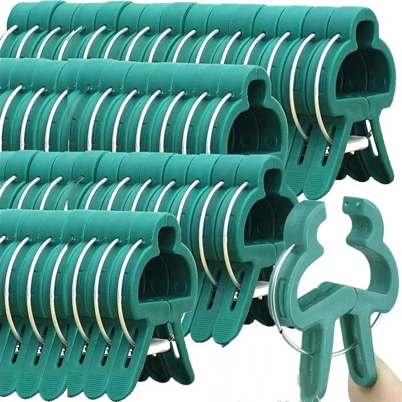 Vine Climbing Plastic - Clipes fixos para plantas, suporte reutilizável