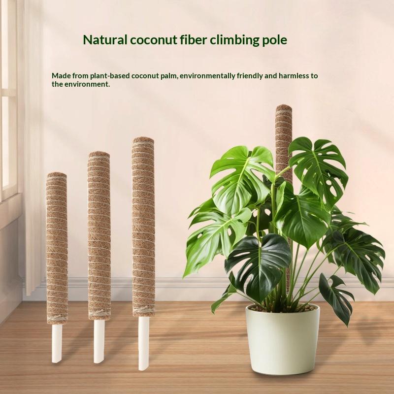 Vine Climbing Plastic - 1 Unidade Haste de Tração para