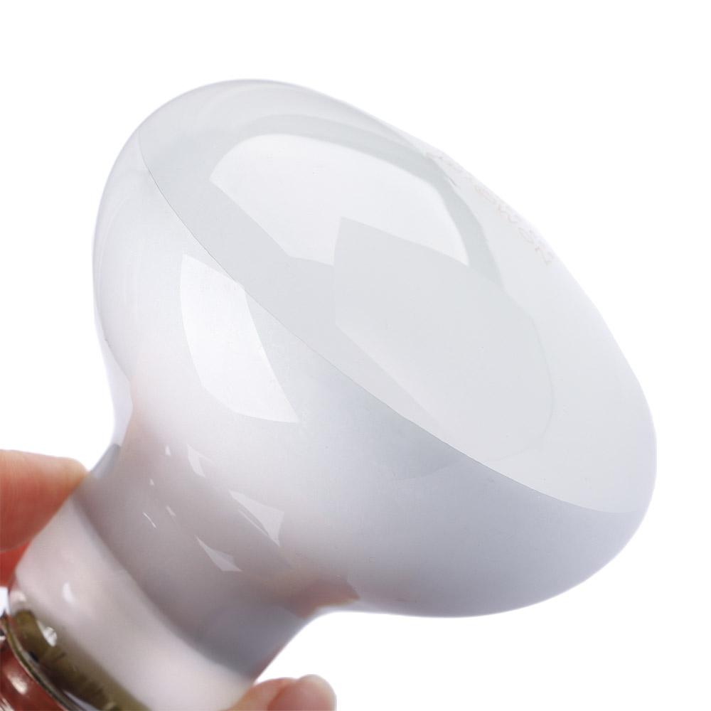 Basking Bulb Halogen - Controlador de Temperatura para Tartarugas com