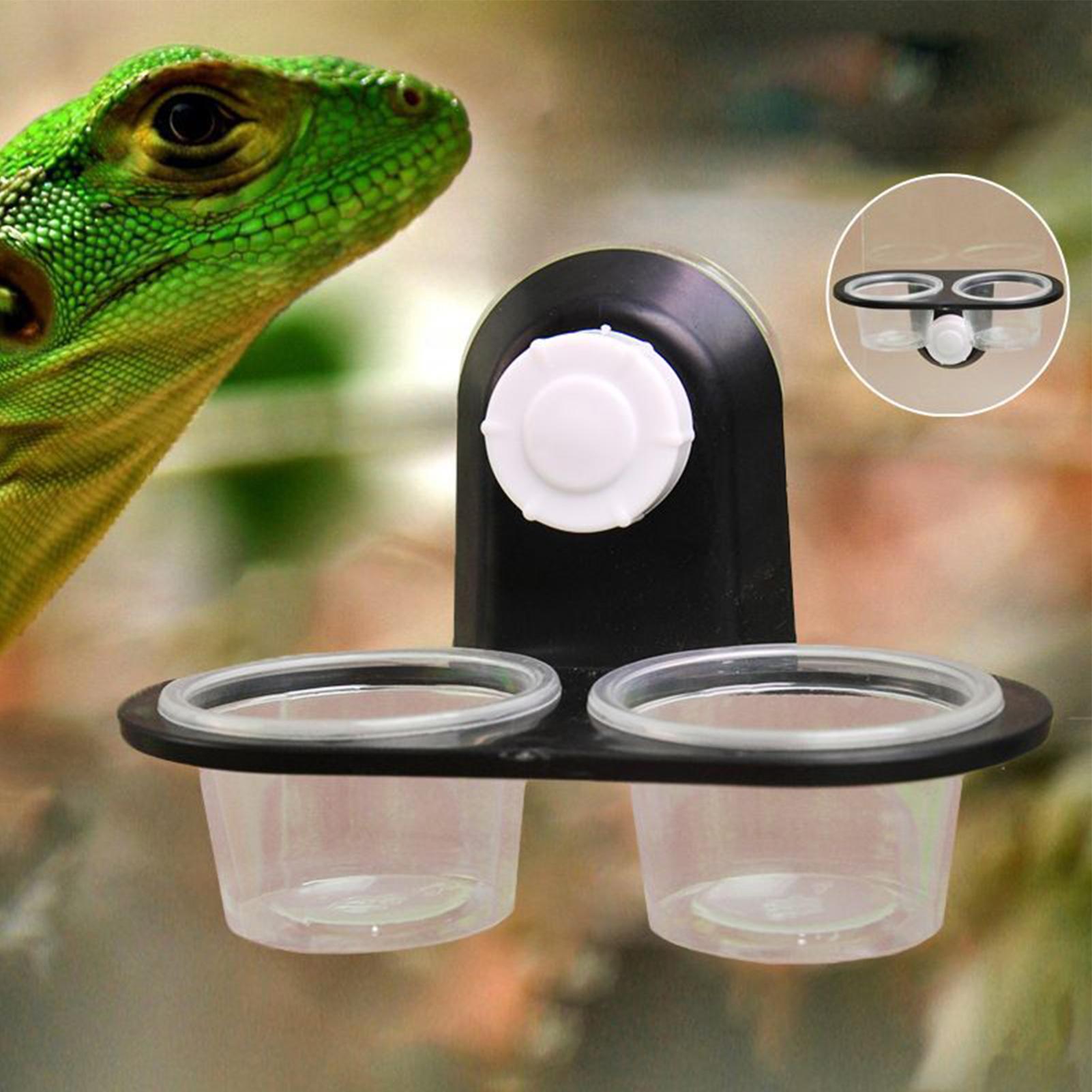 Water Dish Reptile - Prato de Alimentação para Gecko, Copos
