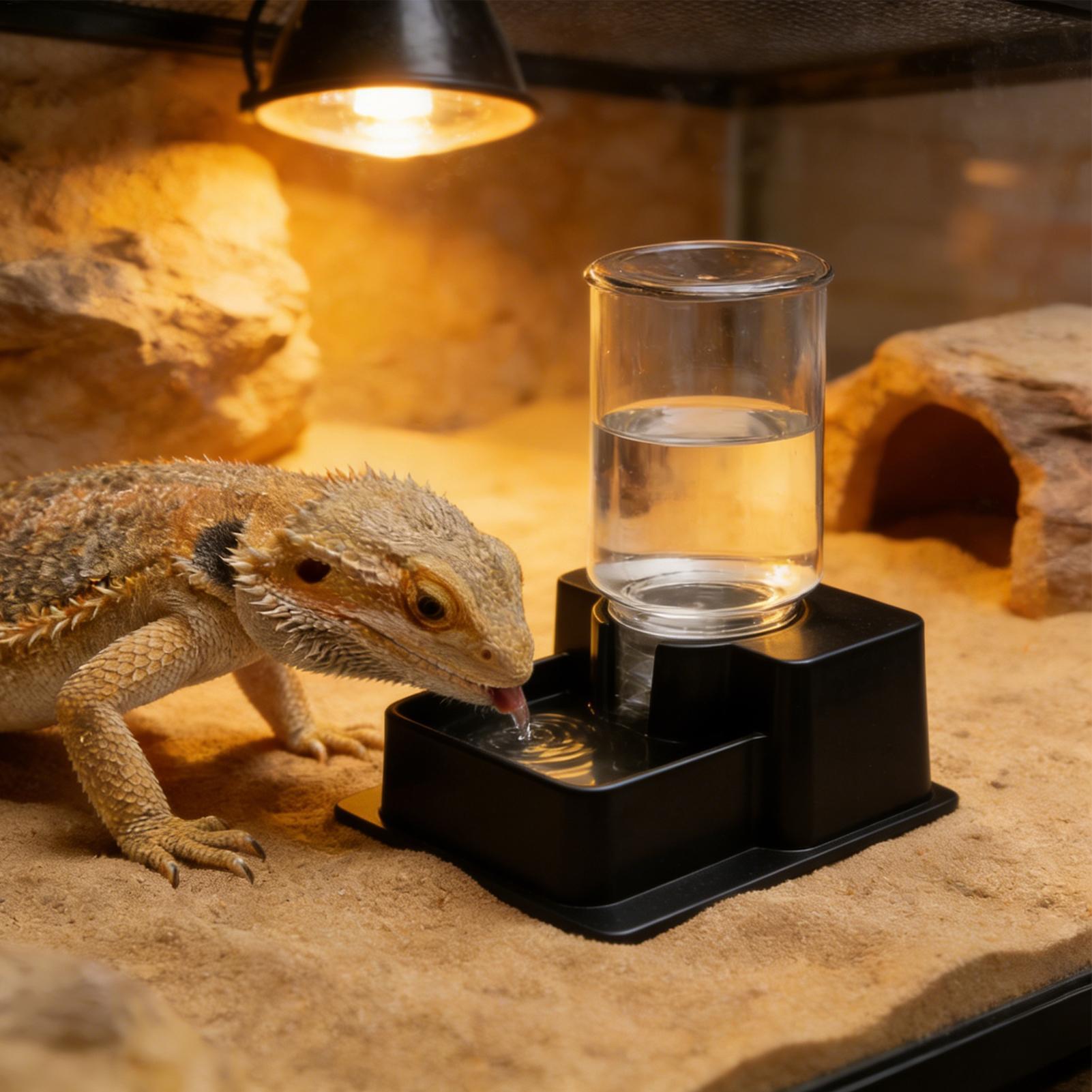 Water Dish Reptile - Bebedouro Automático para Répteis: Fonte de