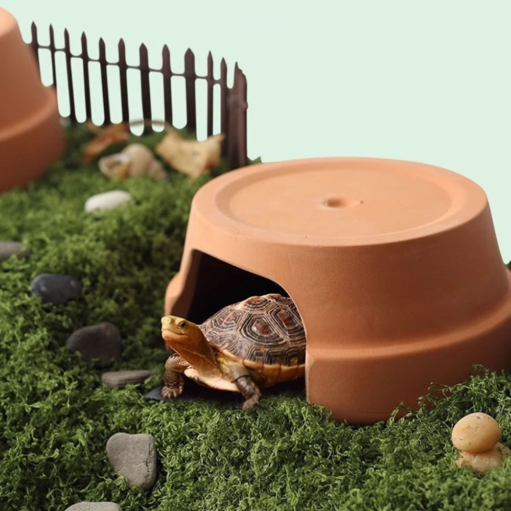 Caixa de Cerâmica Multifuncion - Hide Cave Ceramic avaliação e preço