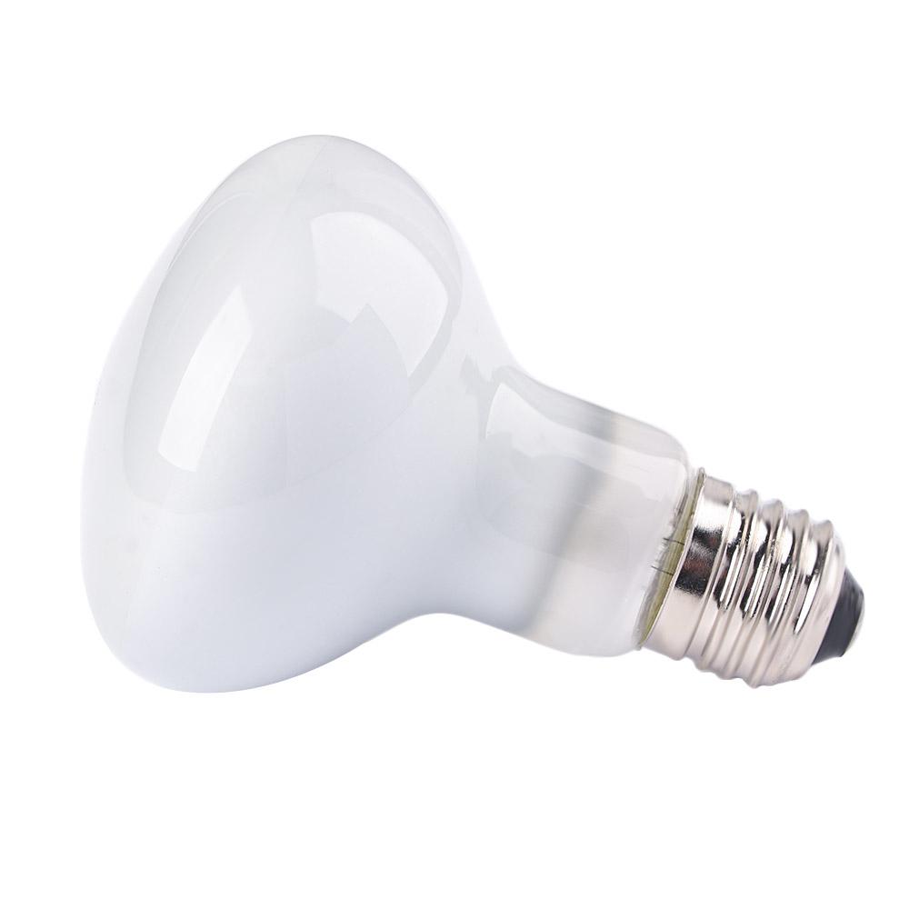 Lâmpada de Aquecimento para Ré - Basking Bulb Halogen avaliação e preço
