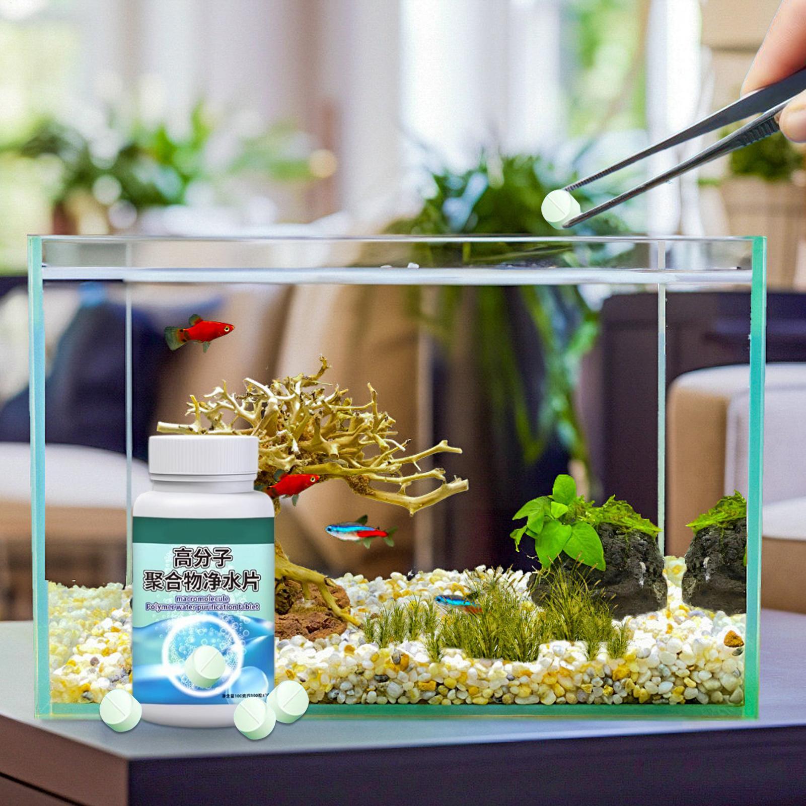 Removedor de Algas para Aquári - Water Dish Reptile avaliação e preço
