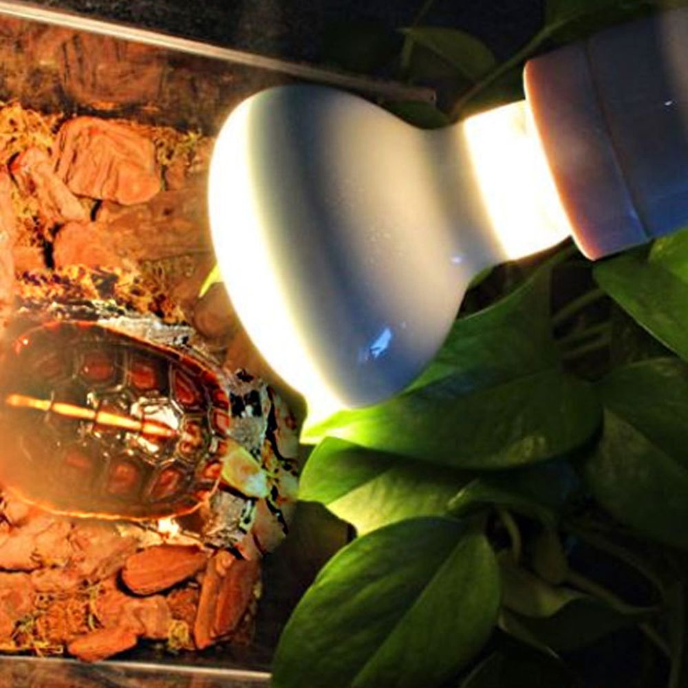 Controlador de Temperatura par - Basking Bulb Halogen avaliação e preço