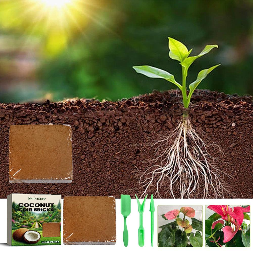 Reptile coco solo bobina press - Substrate Coconut Fiber avaliação e preço