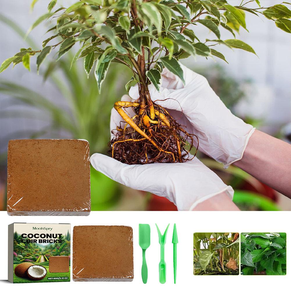 Reptile coco solo bobina press - Substrate Coconut Fiber avaliação e preço