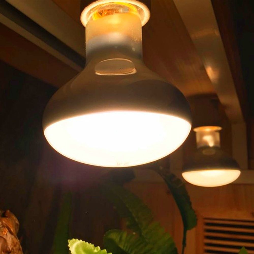 Controlador de Temperatura par - Basking Bulb Halogen avaliação e preço