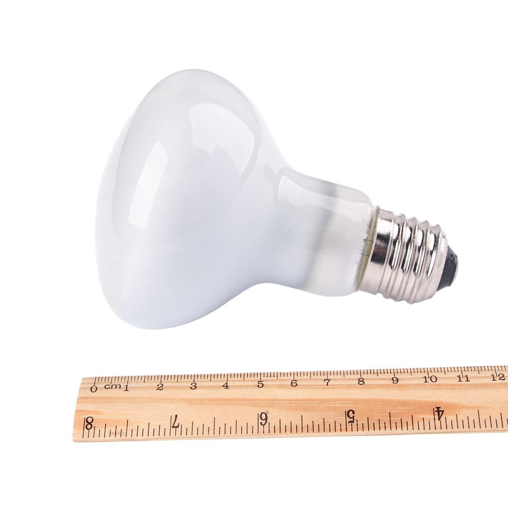 Controlador de Temperatura par - Basking Bulb Halogen avaliação e preço