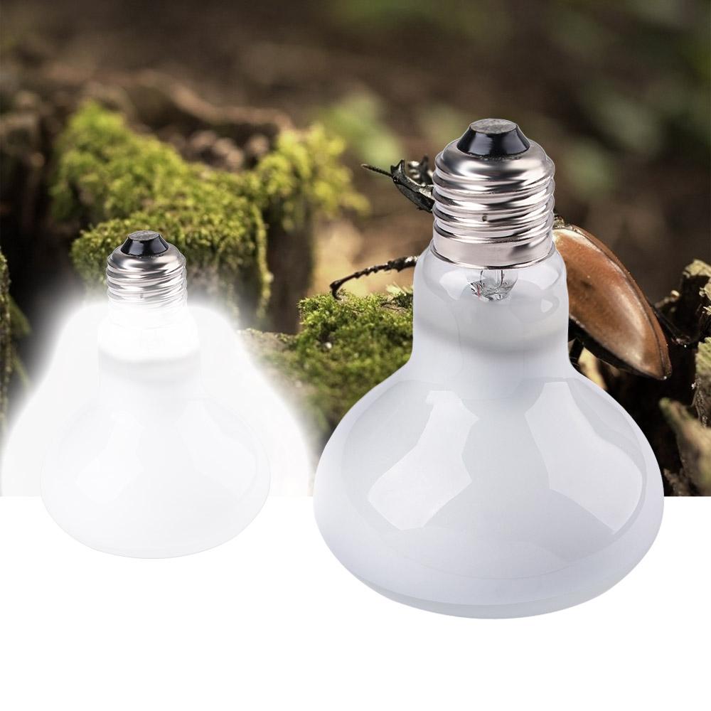 Controlador de Temperatura par - Basking Bulb Halogen avaliação e preço