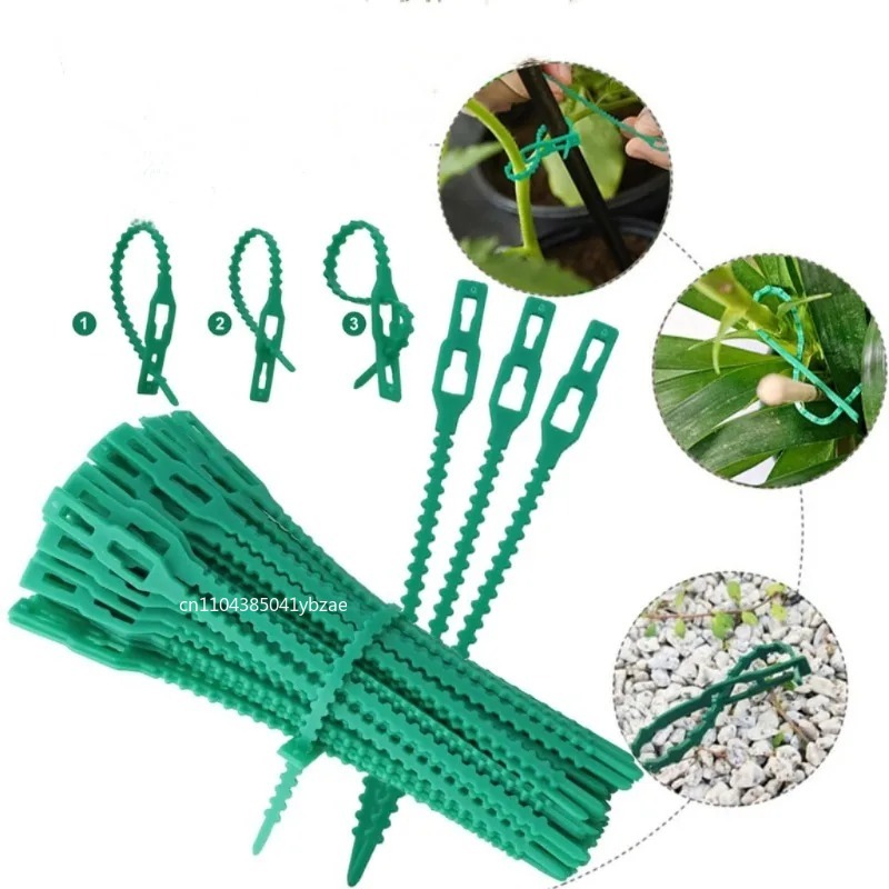 50-1000 pces ajustável plástic - Vine Climbing Plastic avaliação e preço