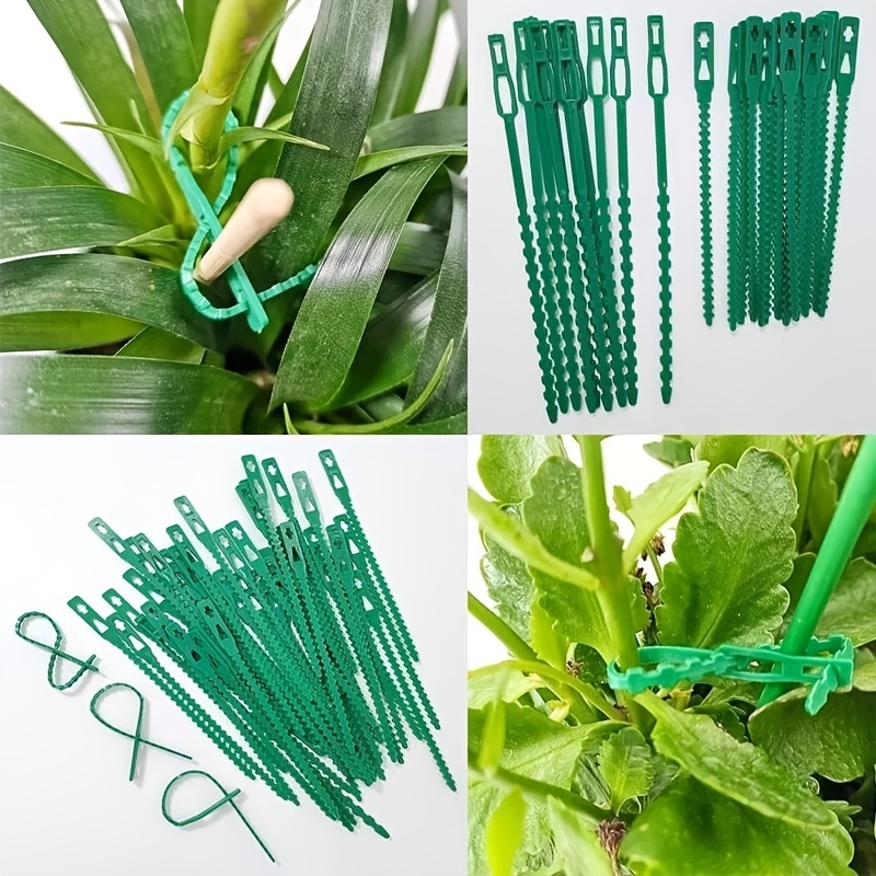 100 Laços Ajustáveis Reutilizá - Vine Climbing Plastic avaliação e preço
