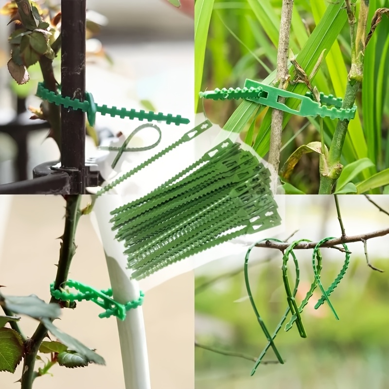 100 Laços Ajustáveis Reutilizá - Vine Climbing Plastic avaliação e preço