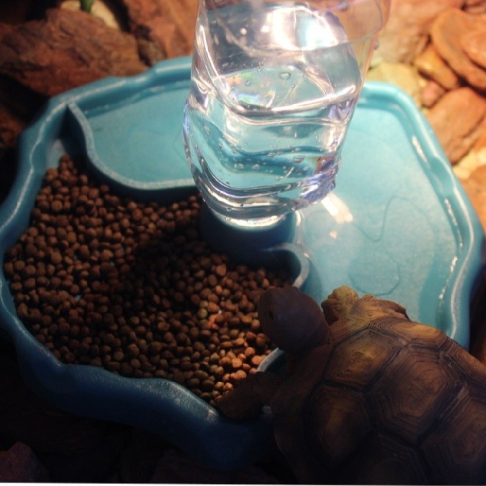 Novo Alimentador Removível par - Water Dish Reptile avaliação e preço