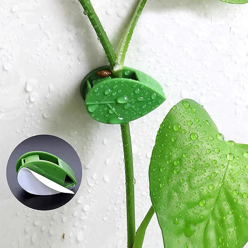 10-90 peças Clipe de Fixação d - Vine Climbing Plastic avaliação e preço