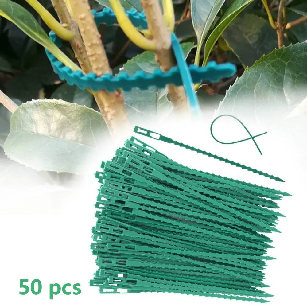 50 Peças de Abraçadeiras Plást - Vine Climbing Plastic avaliação e preço