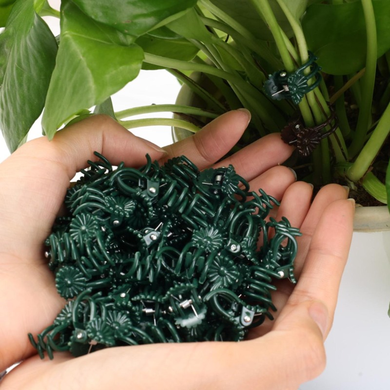 Clipes de Suporte para Plantas - Vine Climbing Plastic avaliação e preço