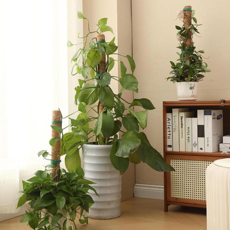 1 Unidade Haste de Tração para - Vine Climbing Plastic avaliação e preço