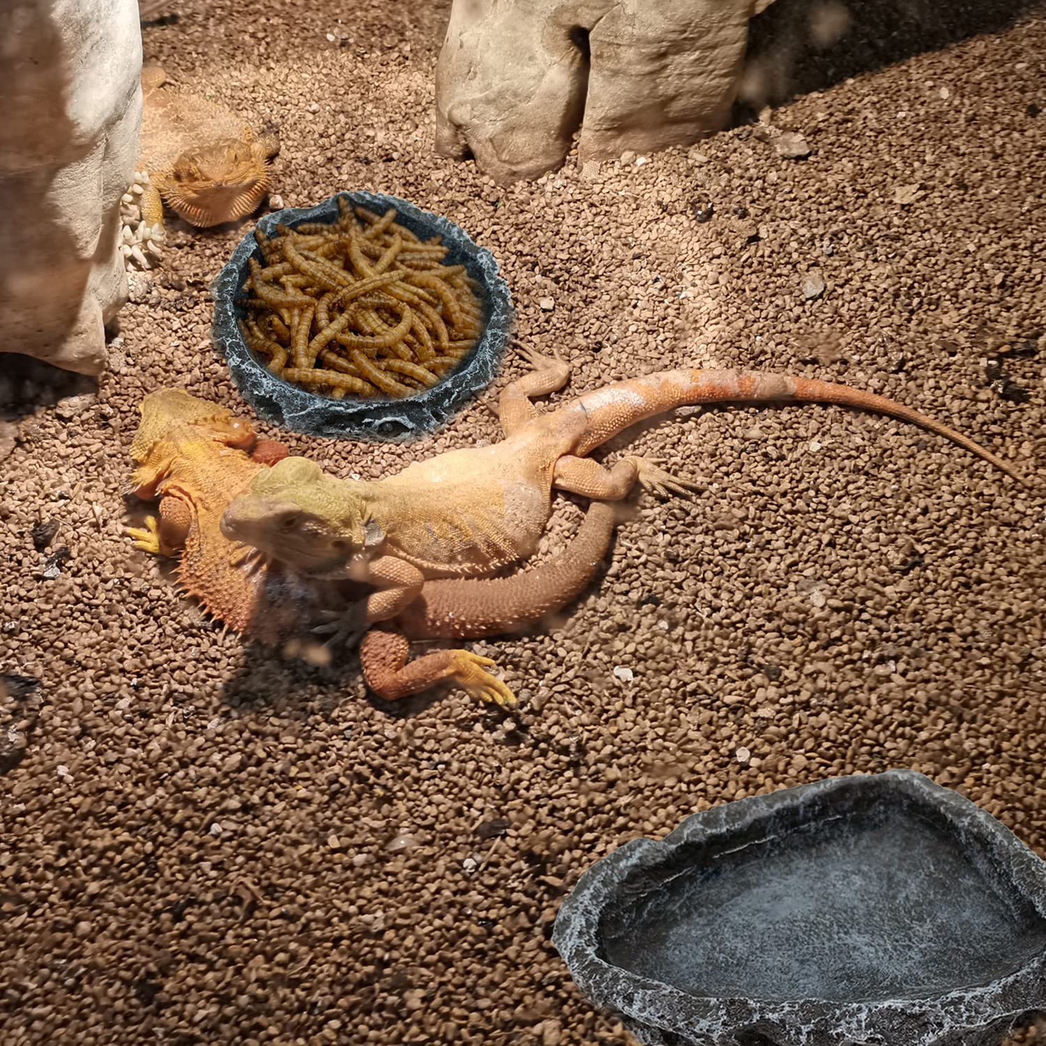 Pacote com 1/2 Tigela de Canto - Water Dish Reptile avaliação e preço