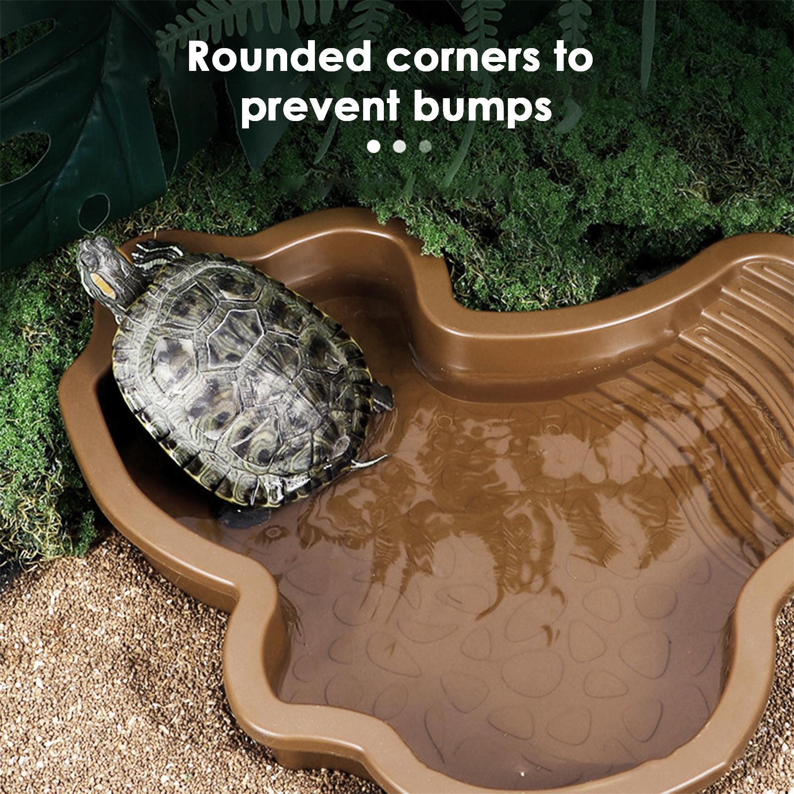 Piscina de banho para répteis  - Water Dish Reptile avaliação e preço