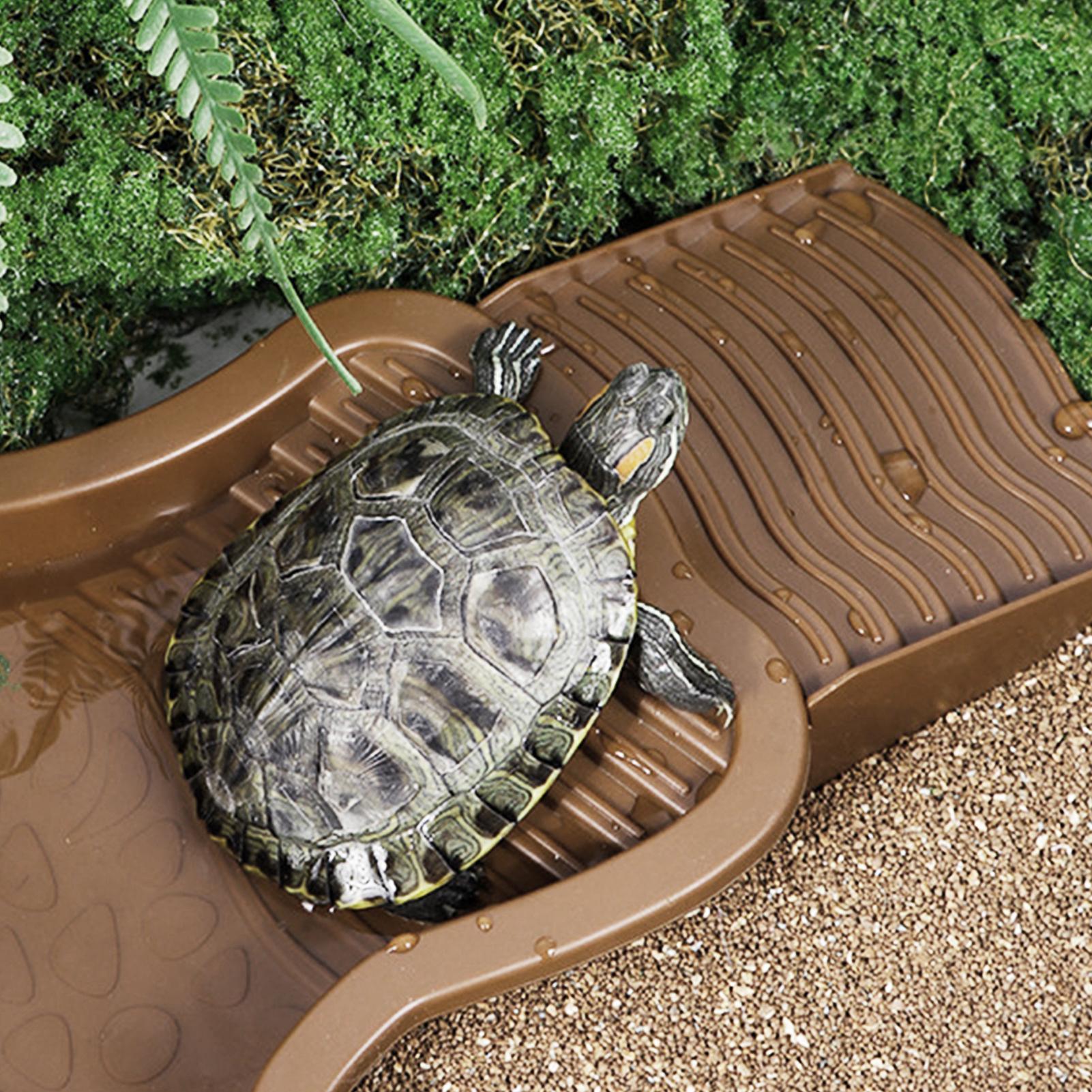 Piscina de banho para répteis  - Water Dish Reptile avaliação e preço