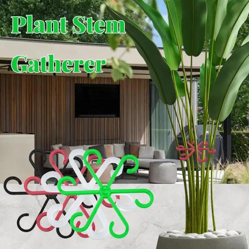 Suporte para Haste de Plantas, - Vine Climbing Plastic avaliação e preço