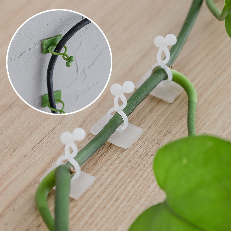 10 Peças Ganchos de Fixação pa - Vine Climbing Plastic avaliação e preço