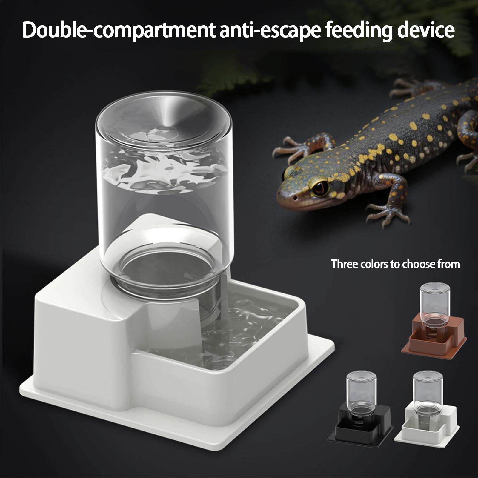 Bebedouro Automático para Répt - Water Dish Reptile avaliação e preço