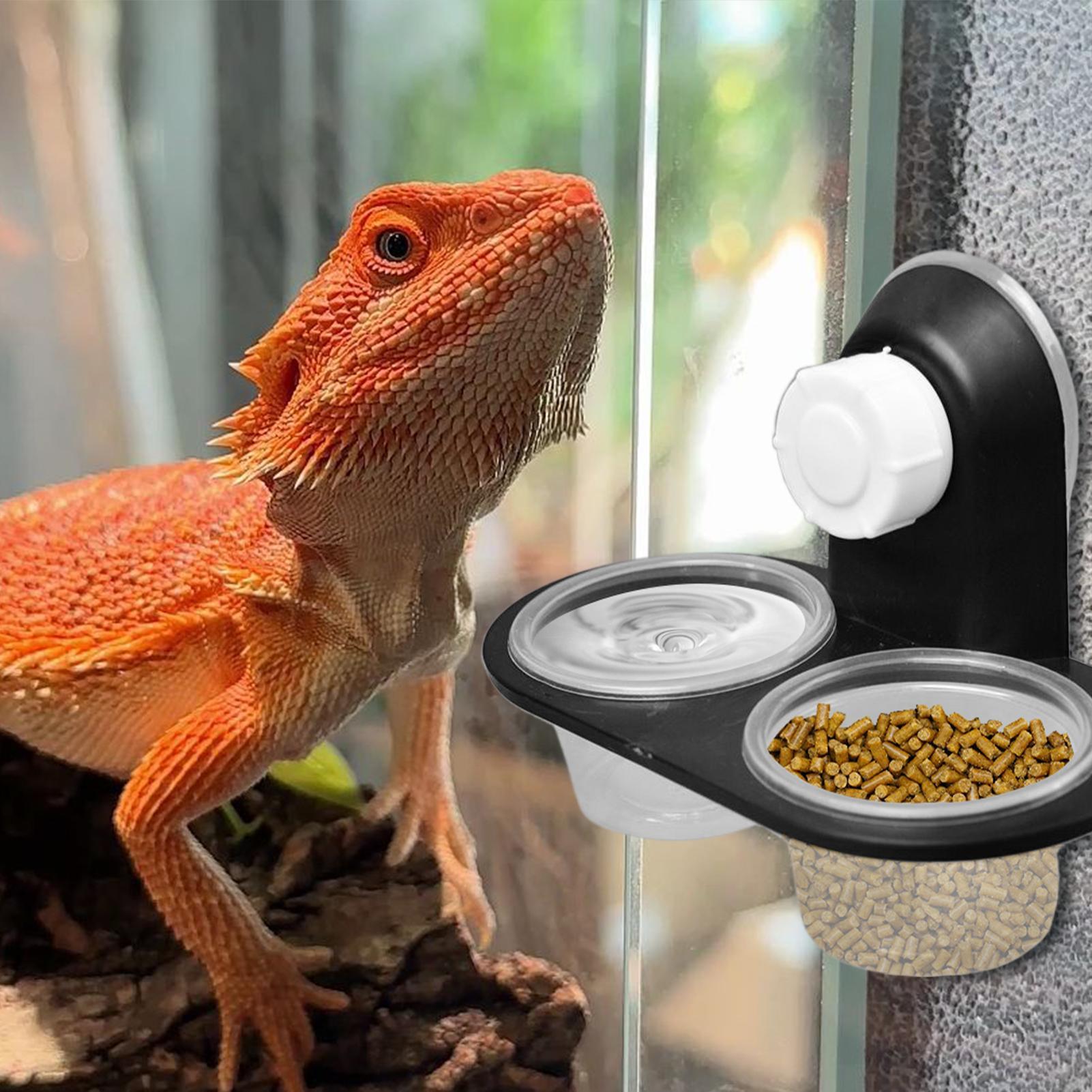 Prato de Comida para Gecko, Di - Water Dish Reptile avaliação e preço