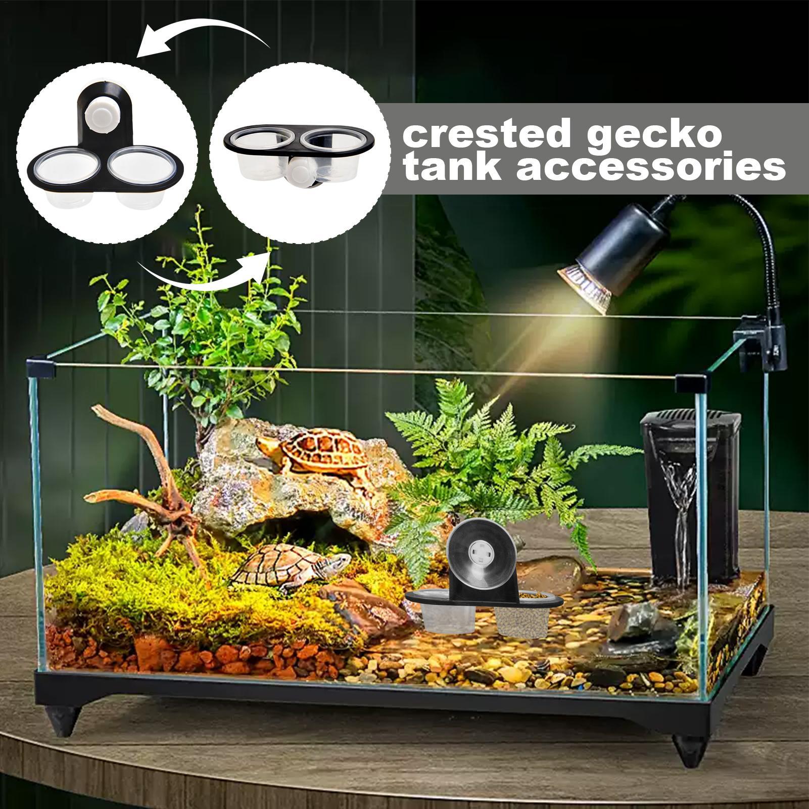 Prato de Comida para Gecko, Di - Water Dish Reptile avaliação e preço
