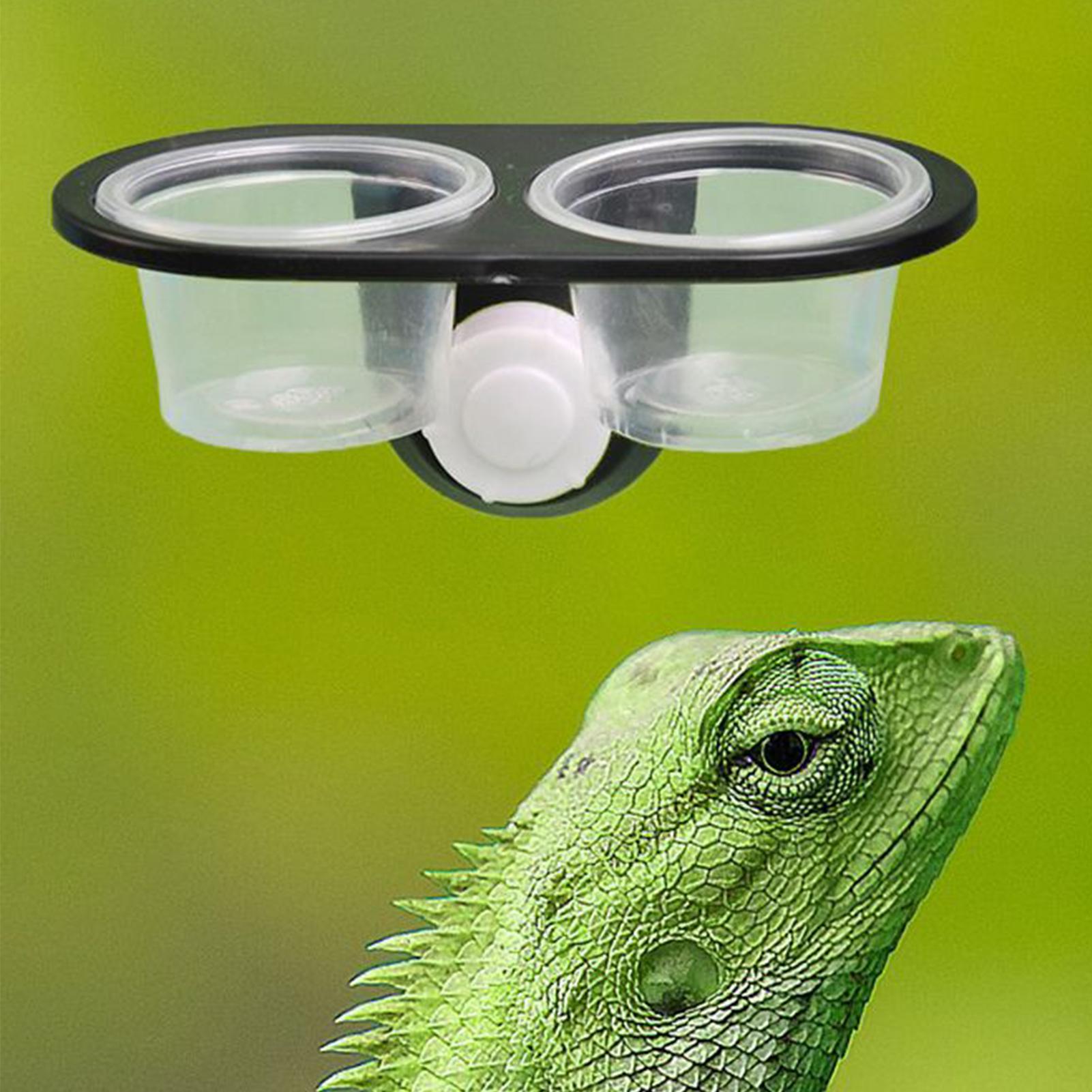 Prato de Alimentação para Geck - Water Dish Reptile avaliação e preço