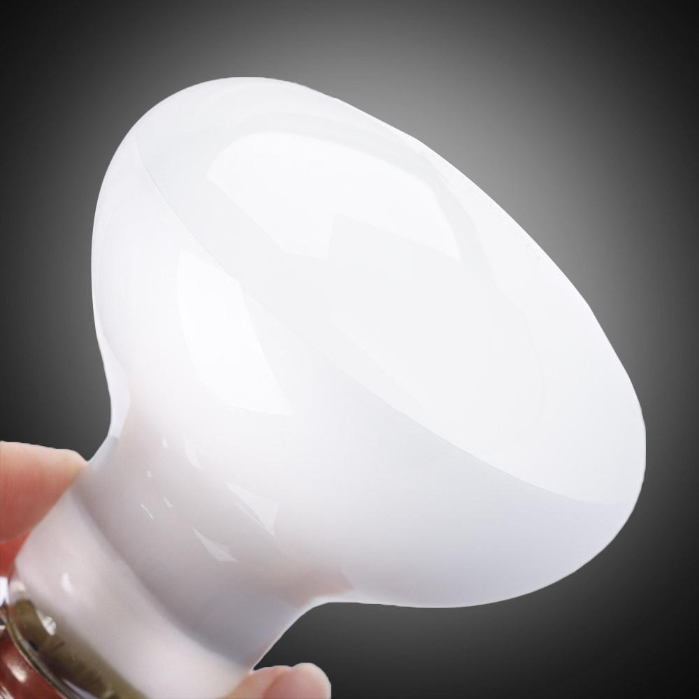 Controlador de Temperatura par - Basking Bulb Halogen avaliação e preço