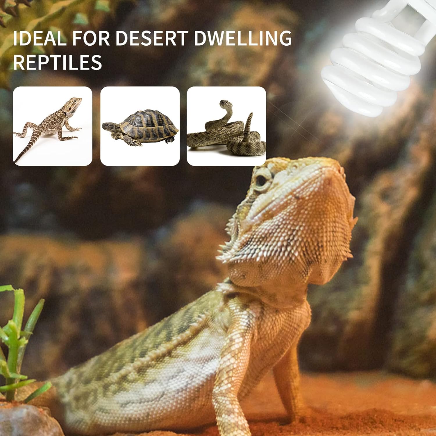 Lâmpada de aquecimento para ré - Calcium Powder Reptile avaliação e preço