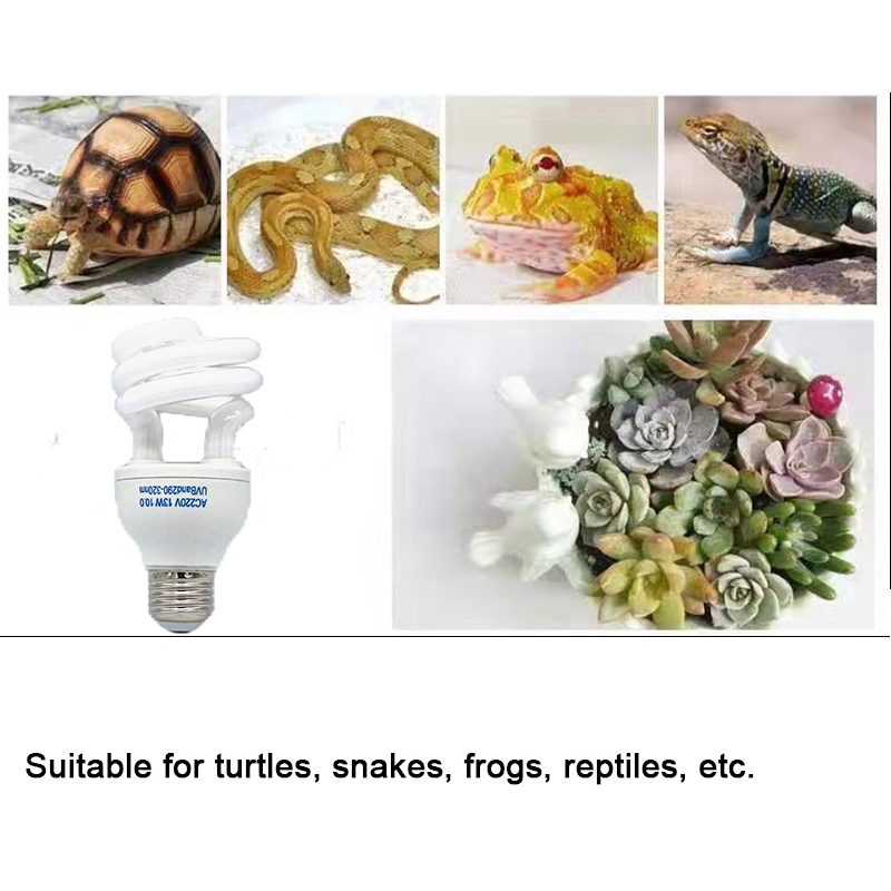 E27 13w/26w réptil lâmpada uvb - Calcium Powder Reptile avaliação e preço