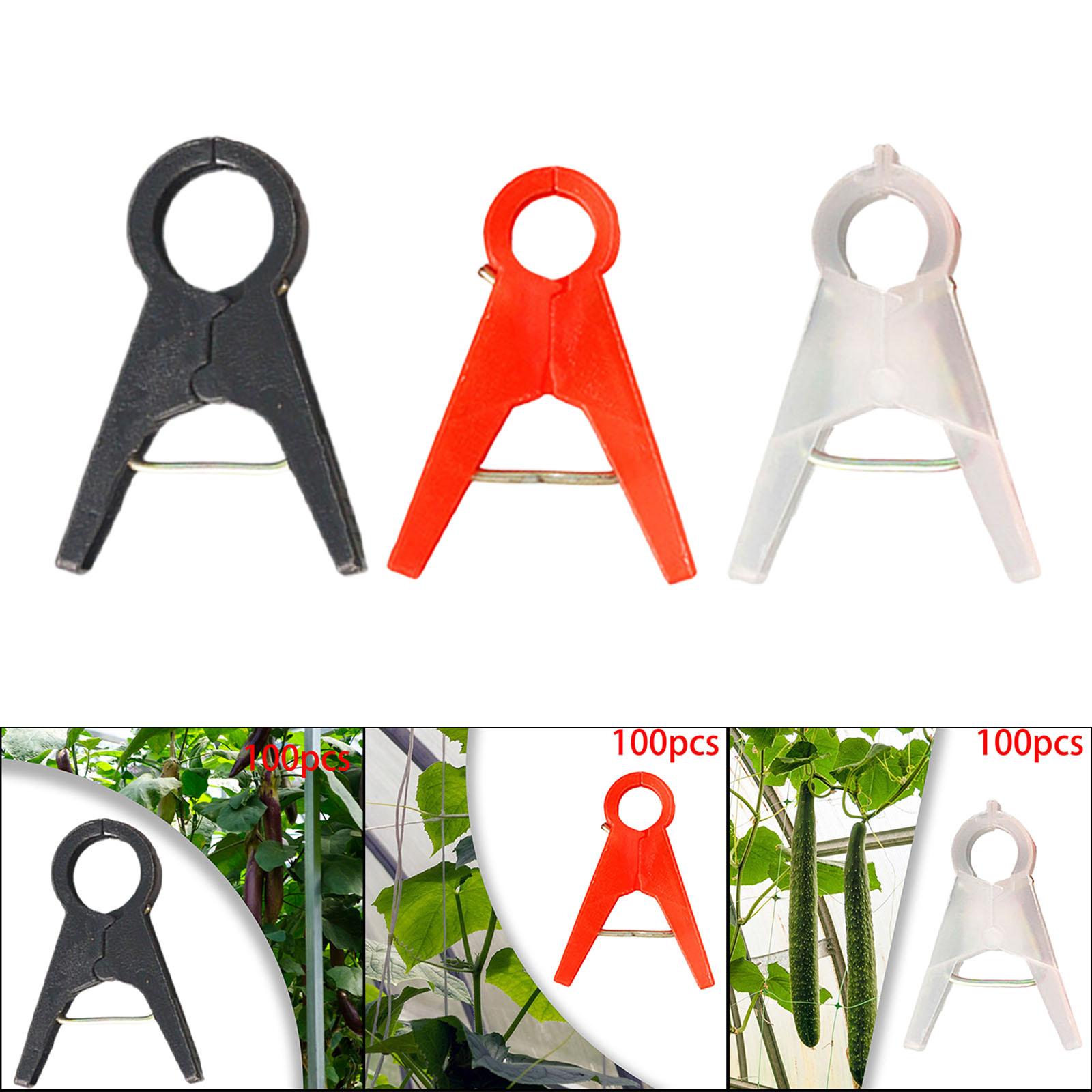 Clipes De Suporte De Plantas D - Vine Climbing Plastic avaliação e preço