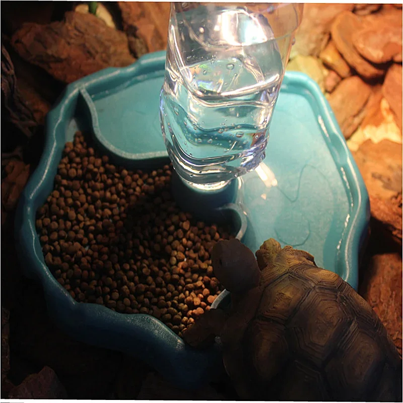 Alimentador Automático 2 em 1  - Water Dish Reptile avaliação e preço