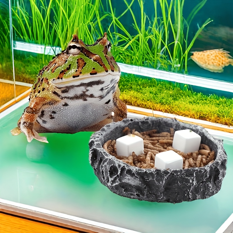6 Peças de Bloco de Cálcio Min - Calcium Powder Reptile avaliação e preço