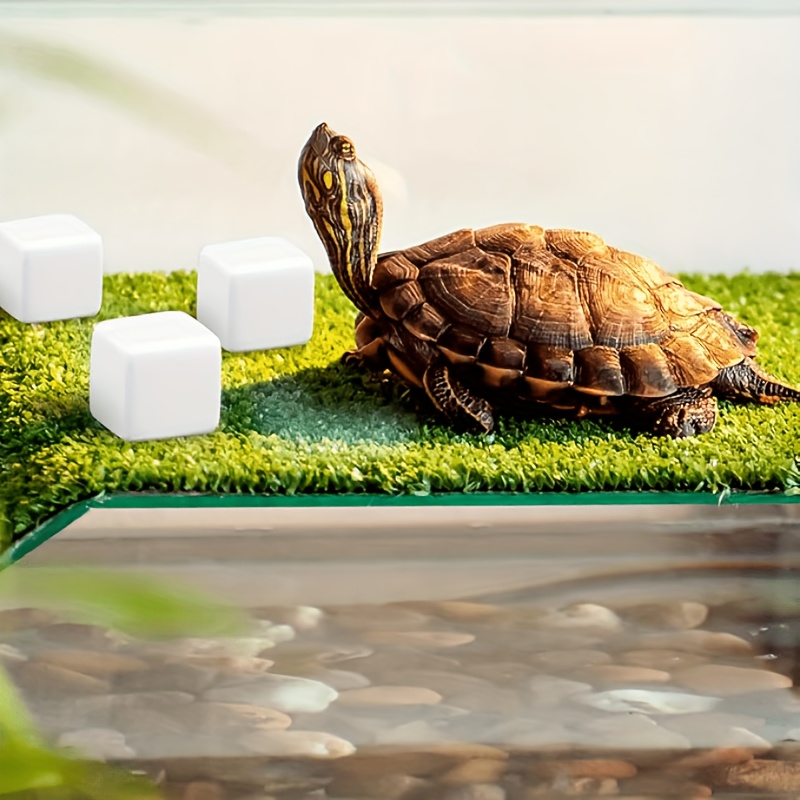 6 Peças de Bloco de Cálcio Min - Calcium Powder Reptile avaliação e preço