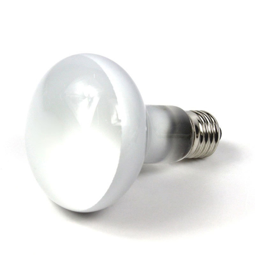 Controlador de Temperatura par - Basking Bulb Halogen avaliação e preço