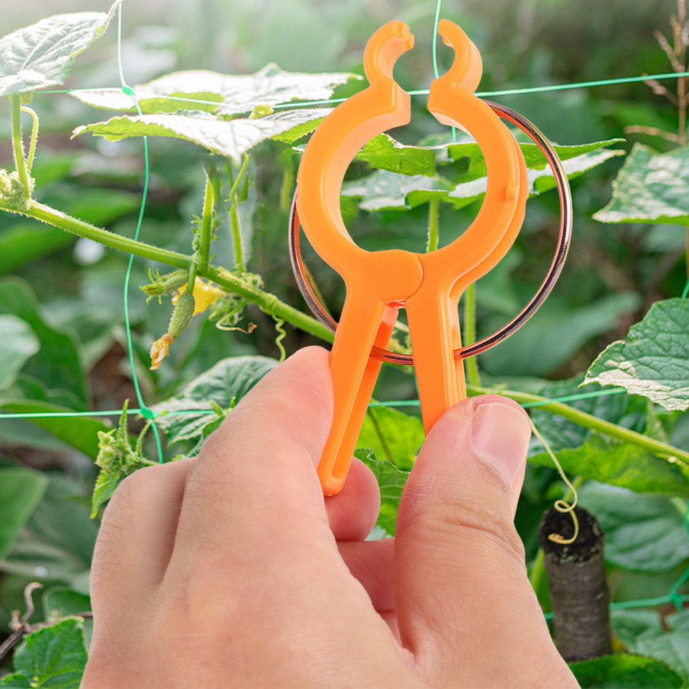 10 Peças de Clipes de Fixação  - Vine Climbing Plastic avaliação e preço