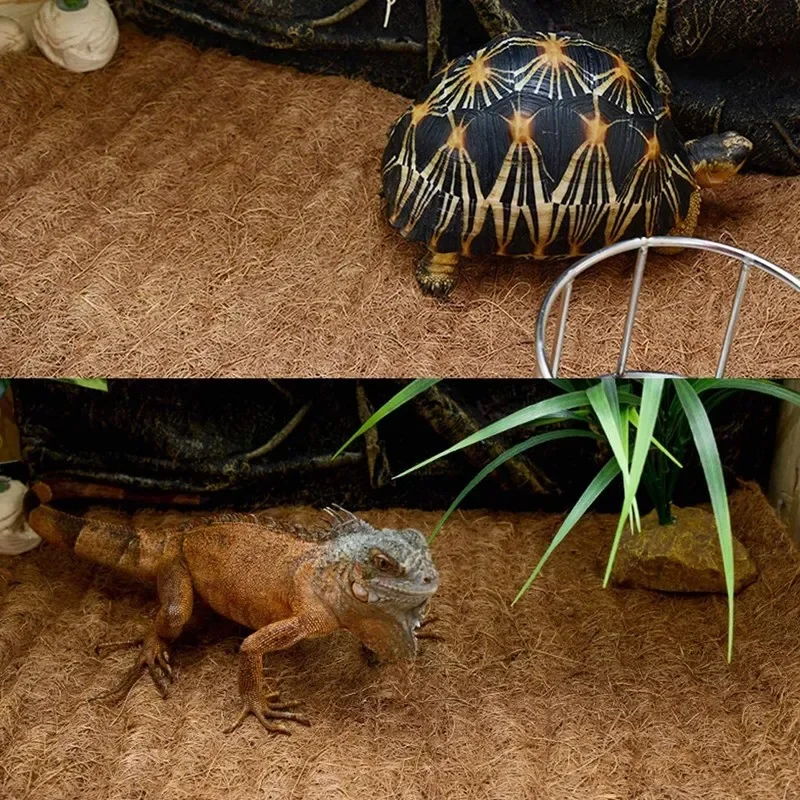 Tapete de Reptil de Fibra de C - Substrate Coconut Fiber avaliação e preço