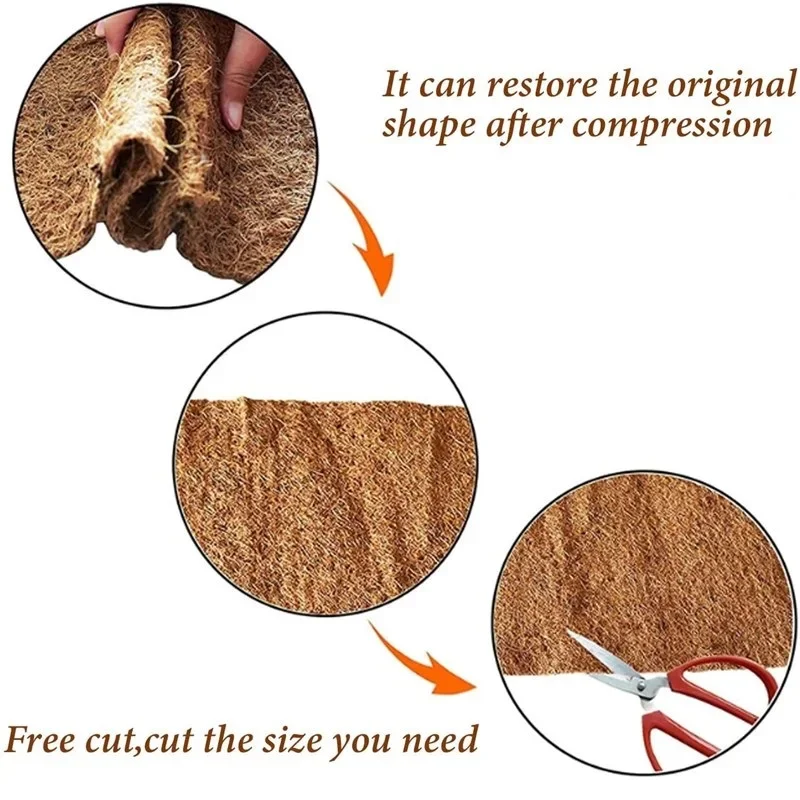 Tapete de Reptil de Fibra de C - Substrate Coconut Fiber avaliação e preço