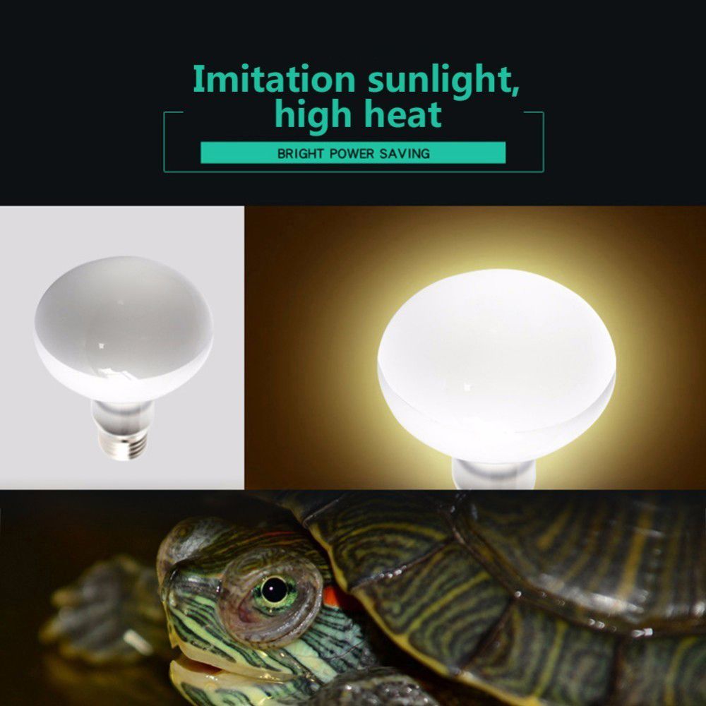 Controlador de Temperatura par - Basking Bulb Halogen avaliação e preço