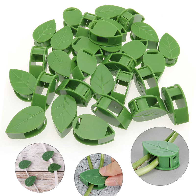 Luminária de parede de escalad - Vine Climbing Plastic avaliação e preço