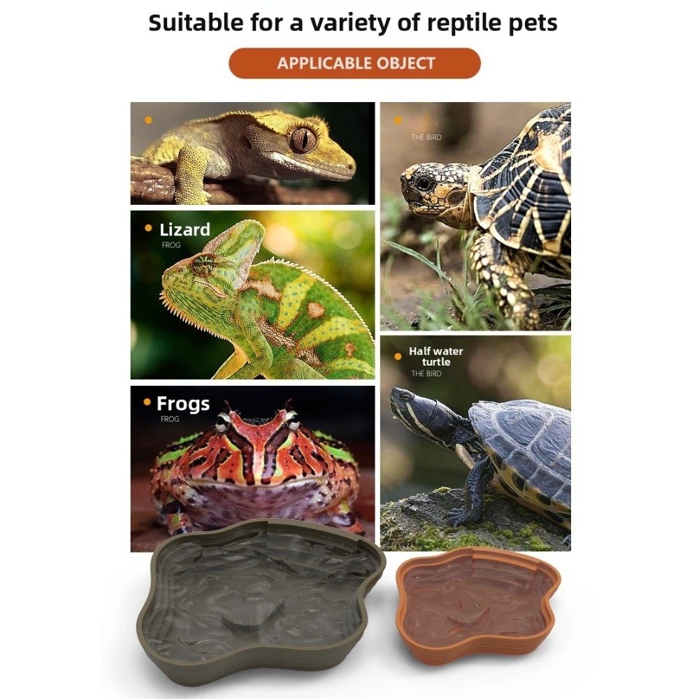 Nova bacia de água de tartarug - Water Dish Reptile avaliação e preço