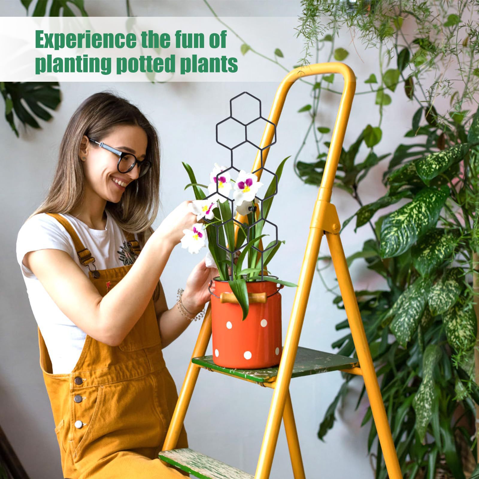 1PC Treliça para Plantas com D - Vine Climbing Plastic avaliação e preço