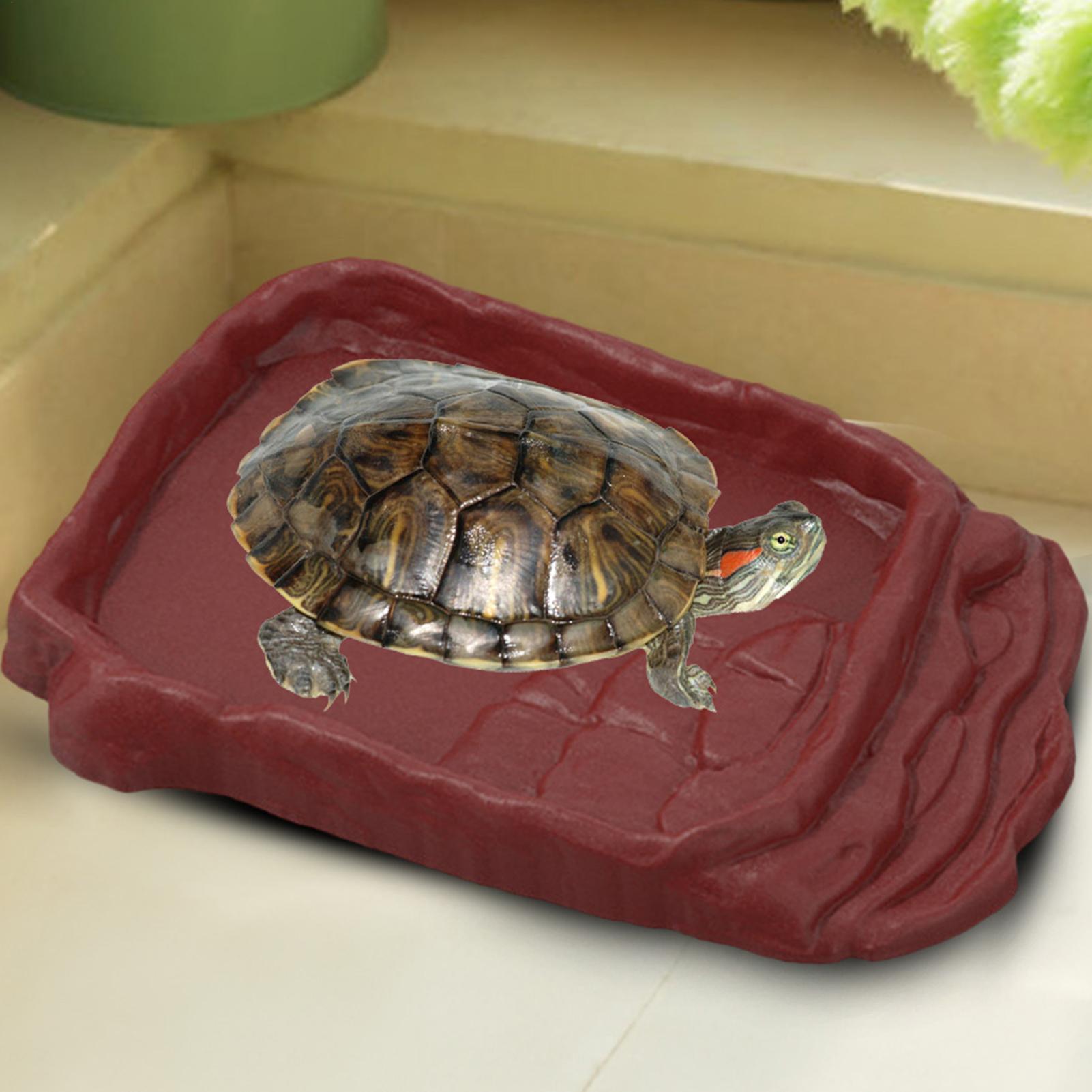 Bacia de Água para Tartarugas  - Water Dish Reptile avaliação e preço