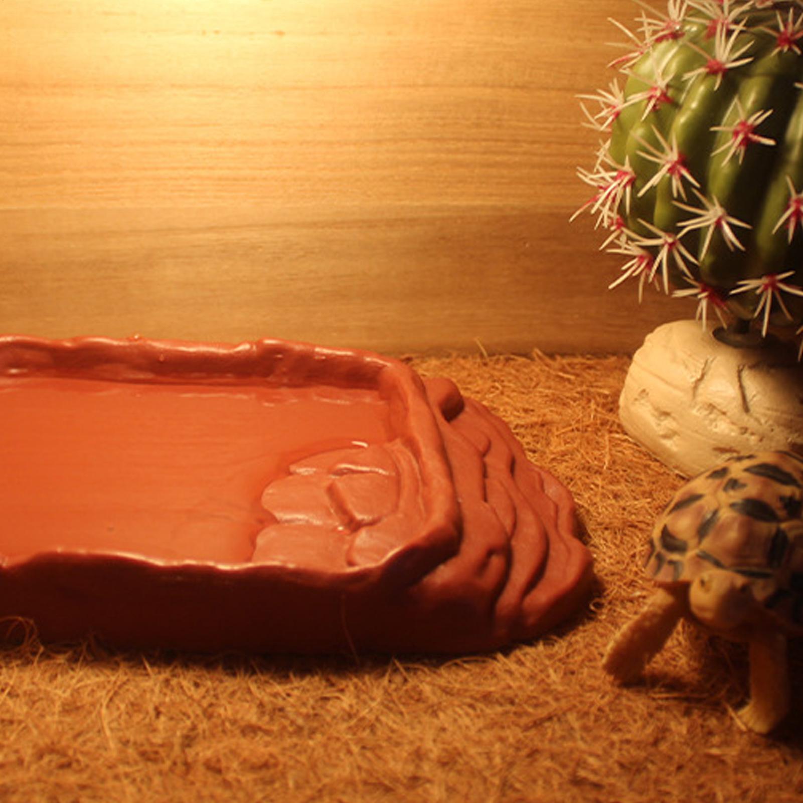 Bacia de Água para Tartarugas  - Water Dish Reptile avaliação e preço