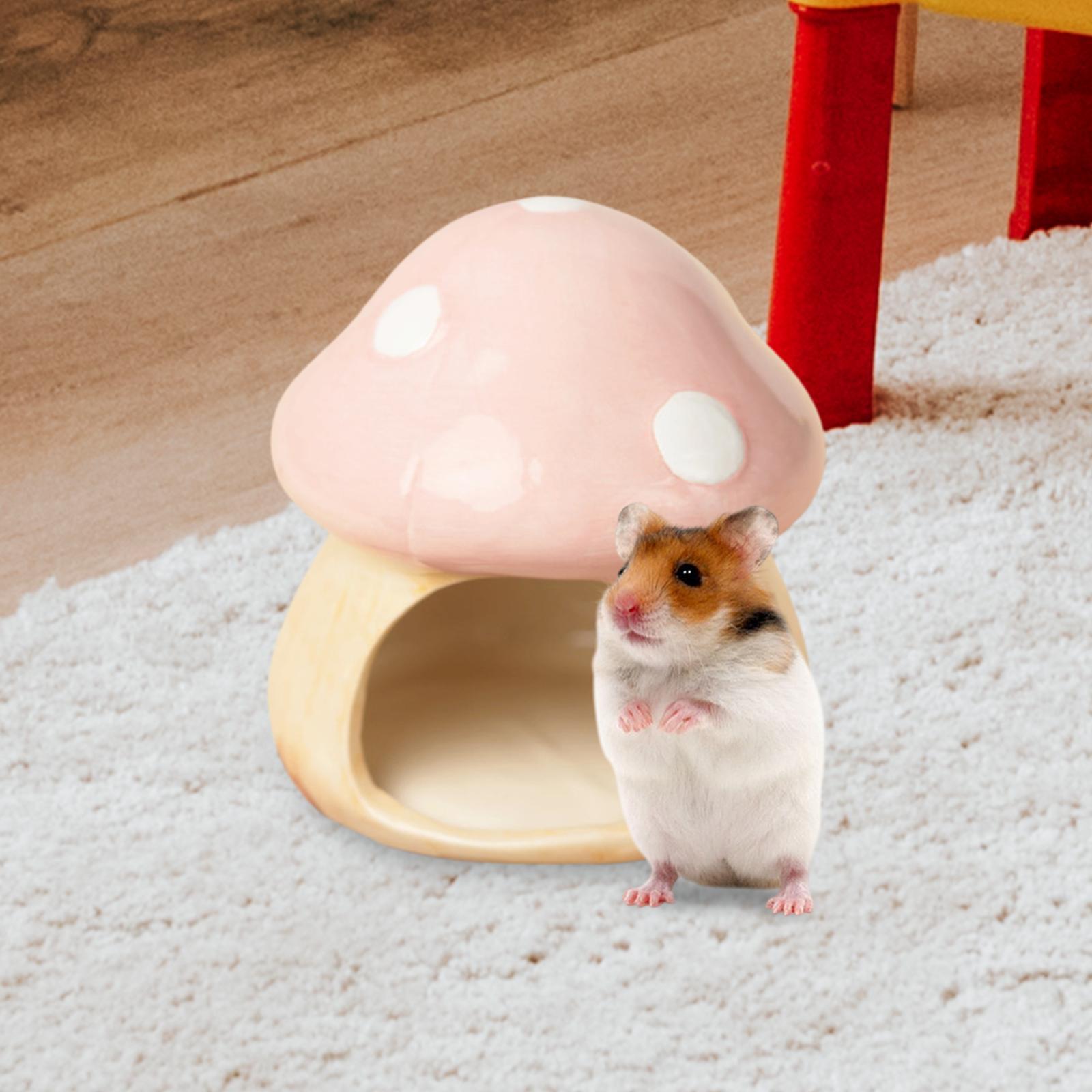 Cogumelo de cerâmica hamster e - Hide Cave Ceramic avaliação e preço